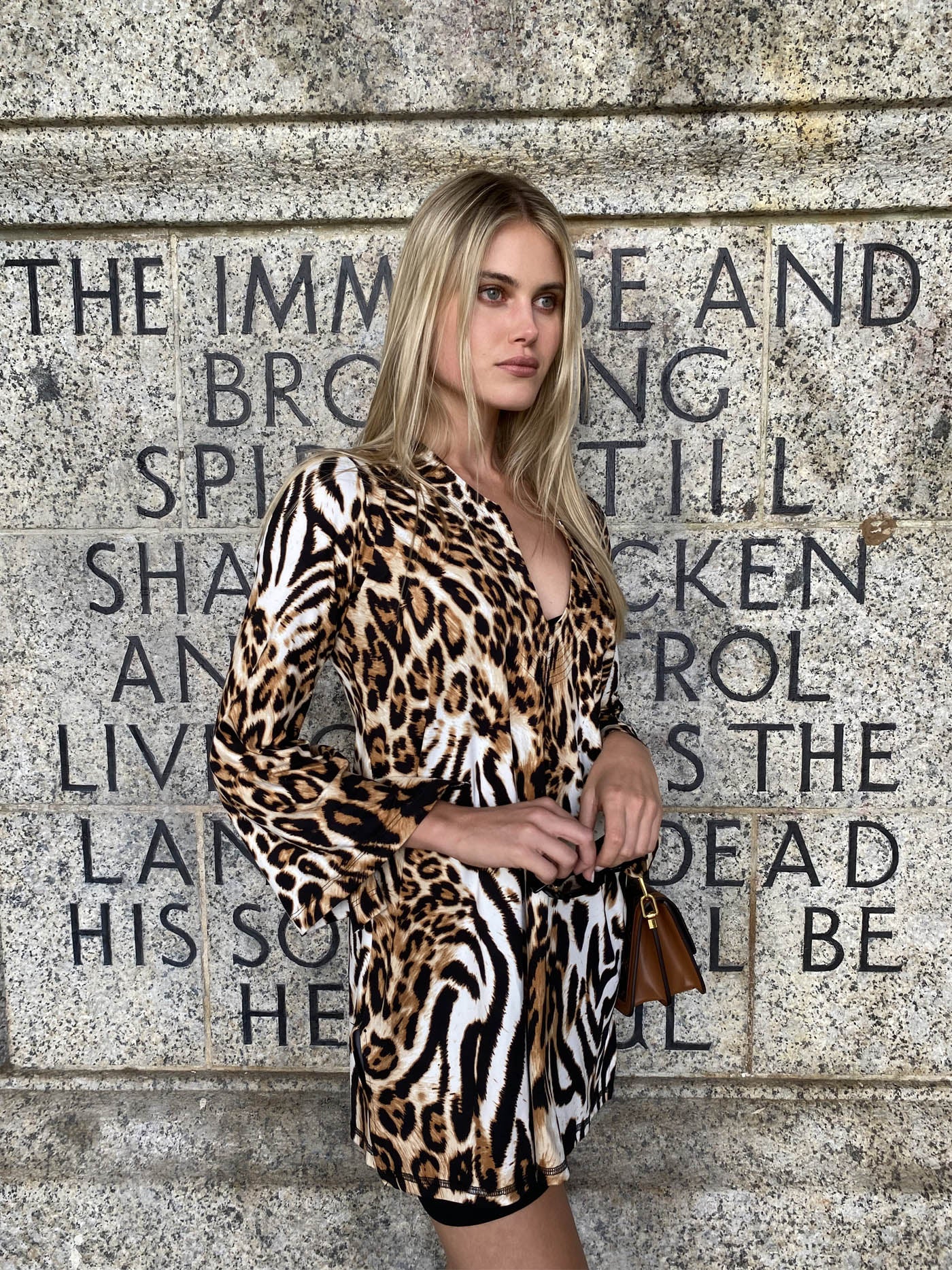 Ocelot Tunic dress